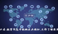 2025必看：数字钱包开放地区大揭秘，立即了解最