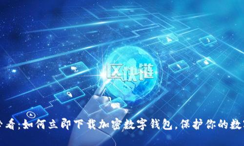 2025必看:如何立即下载加密数字钱包,保护你的数字资产!