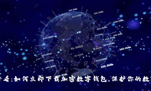 2025必看:如何立即下载加密数字钱包,保护你的数字资产!