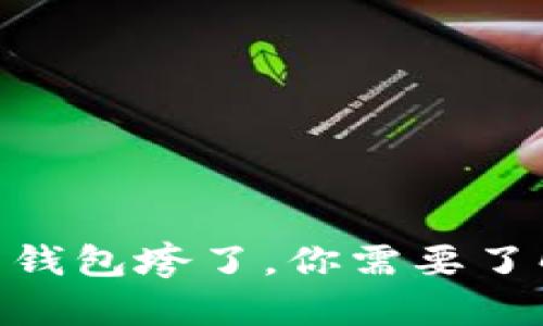 2025必看:数字货币钱包垮了,你需要了解的真相和应对策略