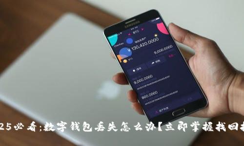 2025必看:数字钱包丢失怎么办?立即掌握找回技巧!