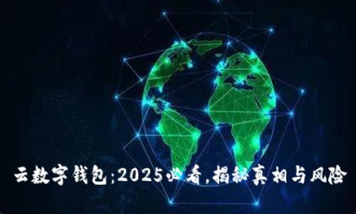 云数字钱包:2025必看,揭秘真相与风险