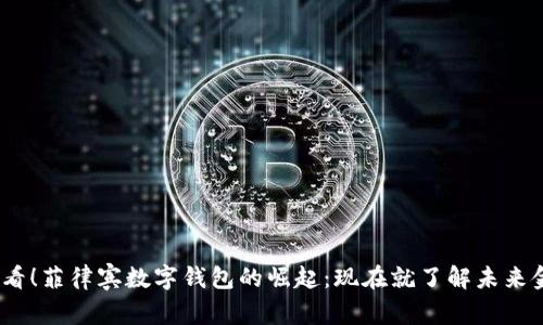 2025必看！菲律宾数字钱包的崛起：现在就了解未来金融趋势