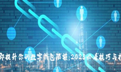 立即提升你的数字钱包限额:2025必看技巧与指南