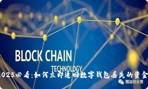 2025必看:如何立即追回数字钱包丢失的资金?