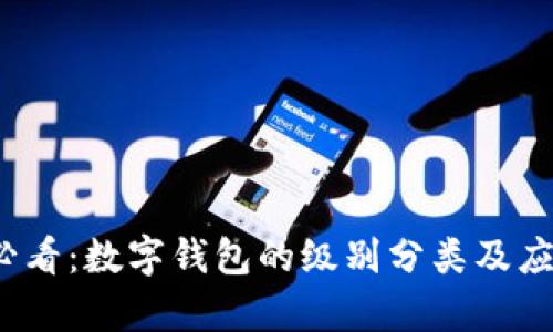 2025必看：数字钱包的级别分类及应用解析