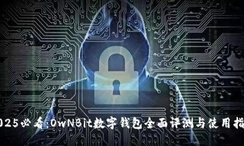 2025必看：OwNBit数字钱包全面评测与使用指南