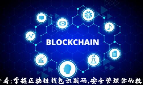 
2025必看：掌握区块链钱包识别码，安全管理你的数字资产！