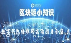 2024年数字钱包转账的高清图片合集，立即下载！