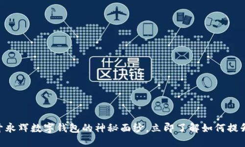 2025必看：揭开永辉数字钱包的神秘面纱，立即了解如何提升你的支付体验