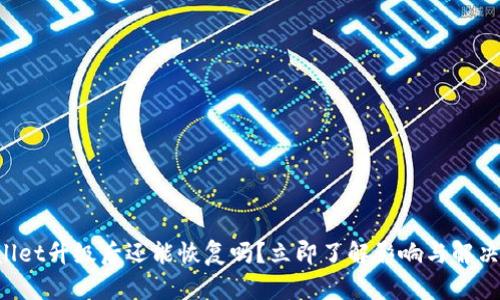TPWallet升级后还能恢复吗?立即了解影响与解决方案!