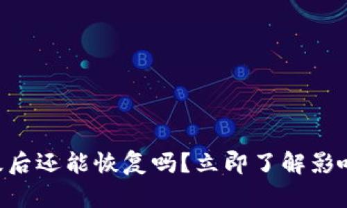 TPWallet升级后还能恢复吗?立即了解影响与解决方案!