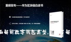 2025必看：全面解析数字钱包类型，立即了解你的
