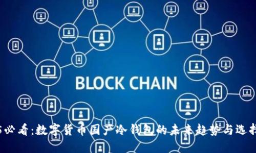 2025必看：数字货币国产冷钱包的未来趋势与选择指南
