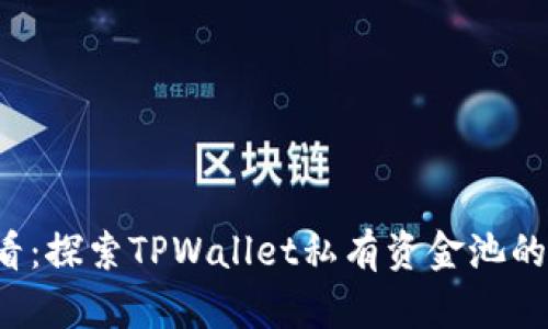 2025必看：探索TPWallet私有资金池的无限潜力