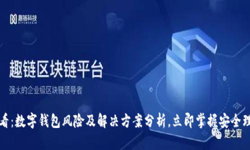 2025必看：数字钱包风险及解决方案分析，立即掌握安全理财秘籍！