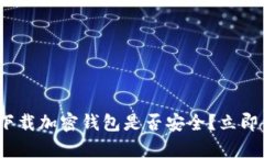 2025必看：在苹果商城下载加密钱包是否安全？立