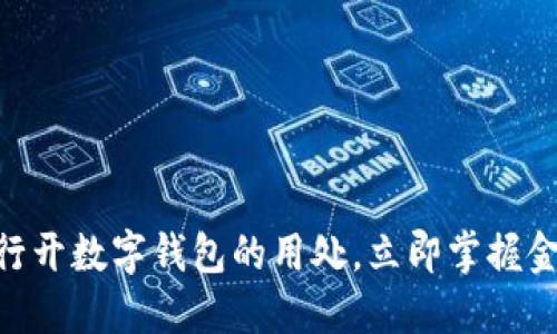2025必看:银行开数字钱包的用处,立即掌握金融未来的趋势