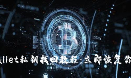 2025必看!TPWallet私钥找回教程:立即恢复你的数字资产安全
