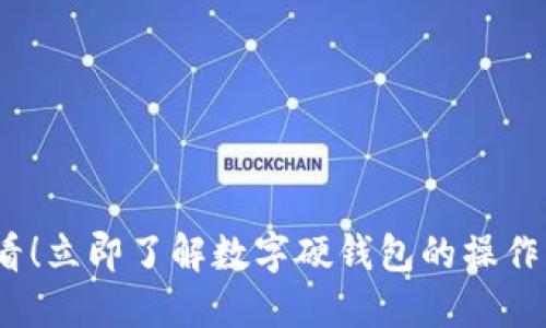 2025必看!立即了解数字硬钱包的操作与安全性