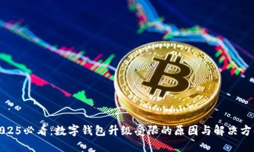 2025必看:数字钱包升级受限的原因与解决方案