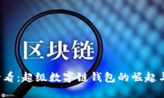 2025年必看：超级数字链钱包的崛起与未来展望