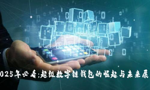 2025年必看：超级数字链钱包的崛起与未来展望