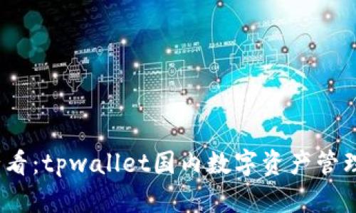 2025必看:tpwallet国内数字资产管理全攻略