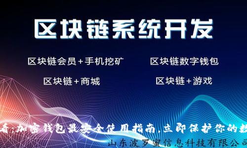 2025必看：加密钱包最安全使用指南，立即保护你的数字资产！
