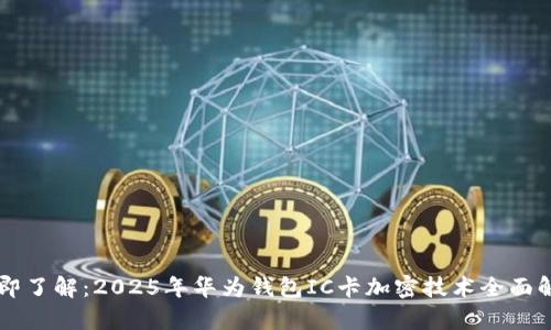 立即了解：2025年华为钱包IC卡加密技术全面解析