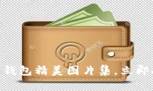 2025必看!数字货币钱包精美图片集,立即探索你的理财新选择