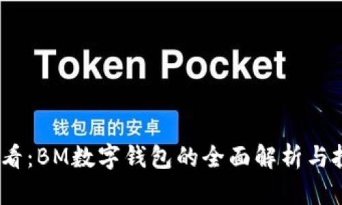 2025必看：BM数字钱包的全面解析与投资策略