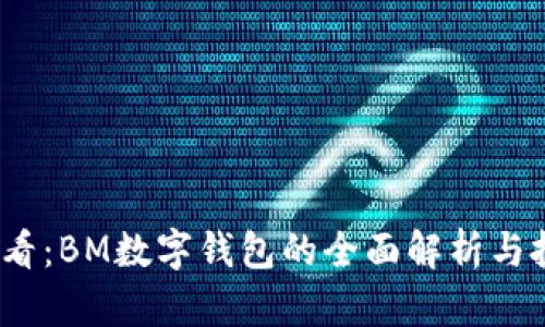2025必看：BM数字钱包的全面解析与投资策略