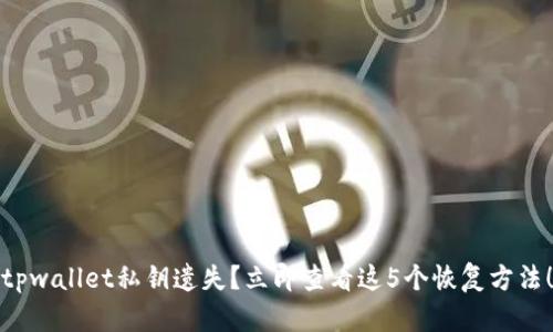 tpwallet私钥遗失？立即查看这5个恢复方法！