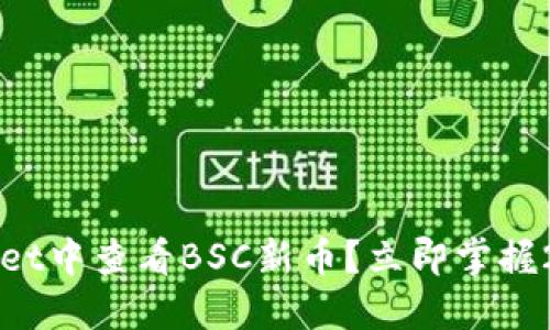 如何在TPWallet中查看BSC新币？立即掌握2025必看技巧