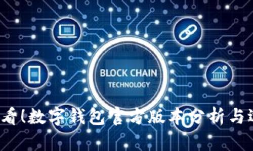 2025必看!数字钱包官方版本分析与选择指南