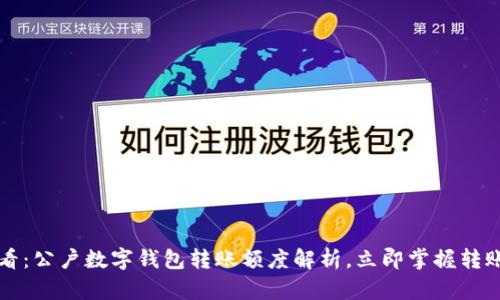 2025必看:公户数字钱包转账额度解析,立即掌握转账新规则!
