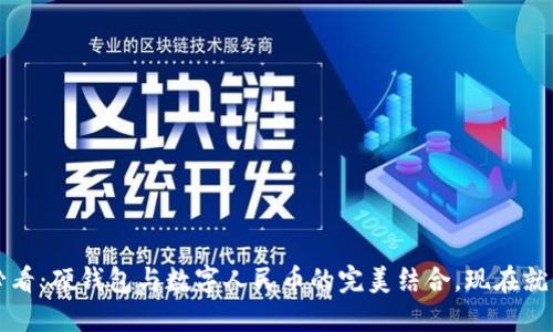 2025必看:硬钱包与数字人民币的完美结合,现在就来了解!