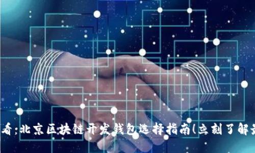 2025必看:北京区块链开发钱包选择指南!立刻了解最佳选项
