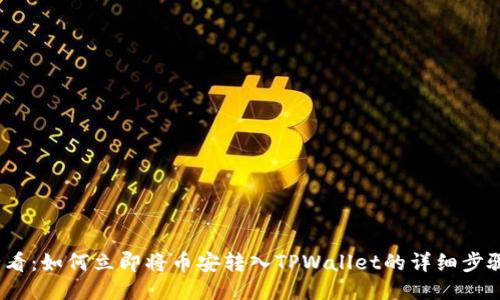 2025必看:如何立即将币安转入TPWallet的详细步骤与技巧