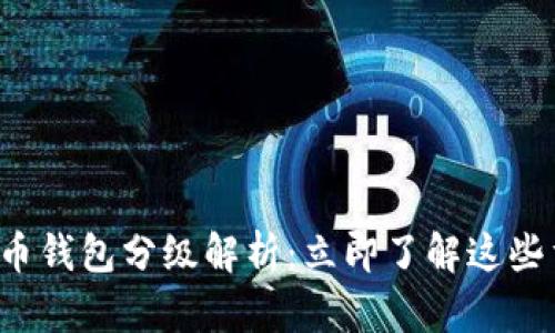 数字人民币钱包分级解析:立即了解这些重要信息!