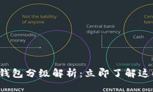 数字人民币钱包分级解析:立即了解这些重要信息!
