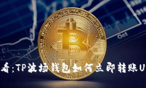 2025必看:TP波场钱包如何立即转账USDT详解