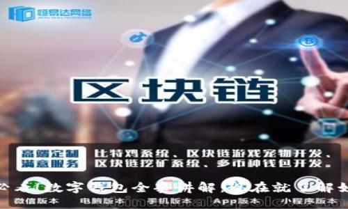 bibnot/bibnot2025必看!数字钱包全套讲解:现在就了解如何管理你的数字资产