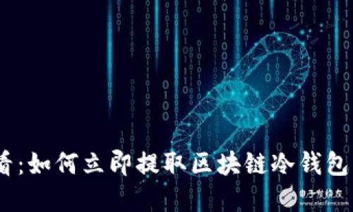 2025必看:如何立即提取区块链冷钱包中的资金