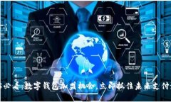 2025必看：数字钱包加盟机会，立即抓