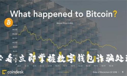 2025必看:立即掌握数字钱包诈骗处理技巧!
