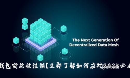 数字钱包突然被注销?立即了解如何应对2025必看指南