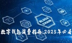 长沙数字钱包消费指南：2025年必看攻