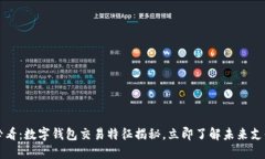 2025必看：数字钱包交易特征揭秘，立